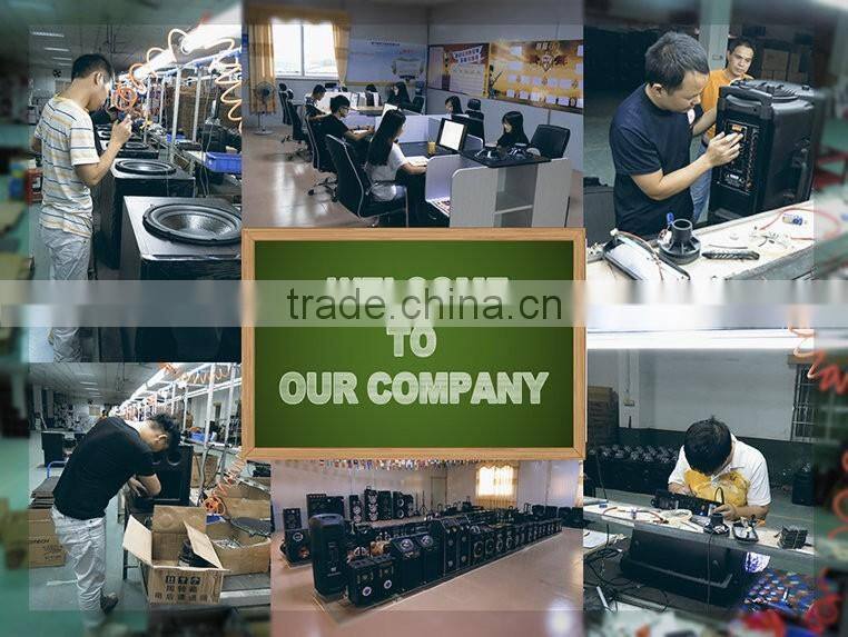 Factory direct selling super hifi bass speaker 2.0 active new model speaker