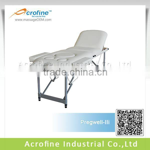 Hot Heavy Duty Portable Massage Bed/Beauty Bed