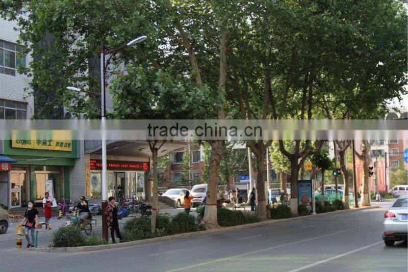 New Design Street Light Led 50w With Meanwell Driver