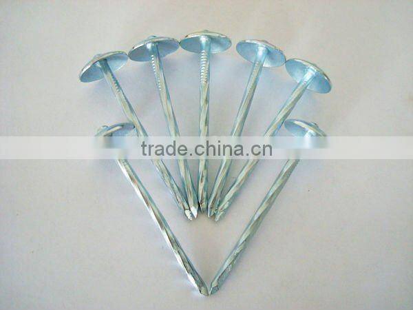 roofing nail with umbrella head