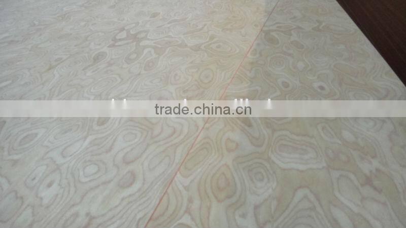 EV white Burl MDF Board from Linyi China
