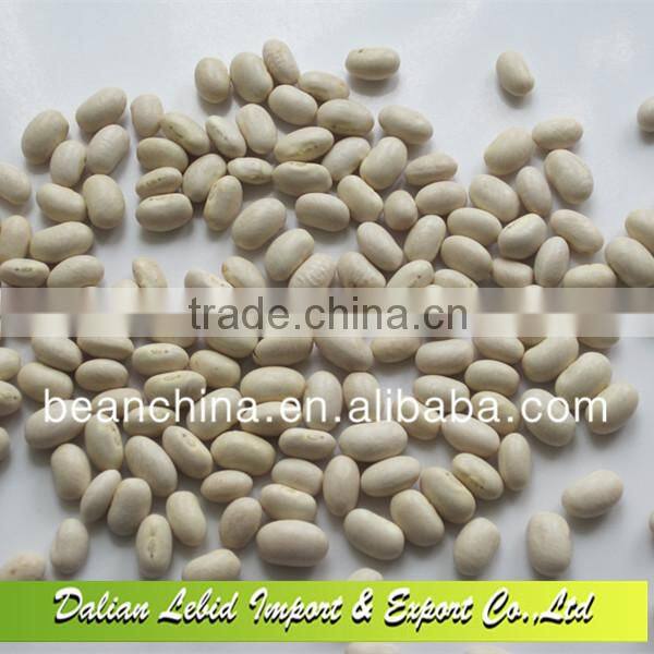 White kidney beans Japanese type good quality