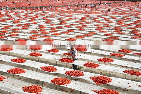 Best quality %100 Turkish Natural Having Seed Dried Sour Cherry Cherries