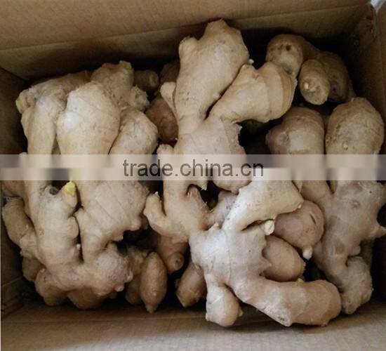 2016 crop air dried ginger at good price