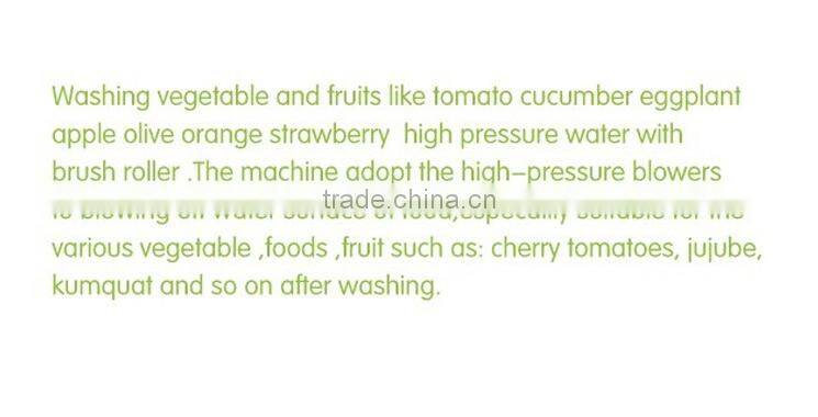 HP-220 + DM-15 fruit washing and drying machine