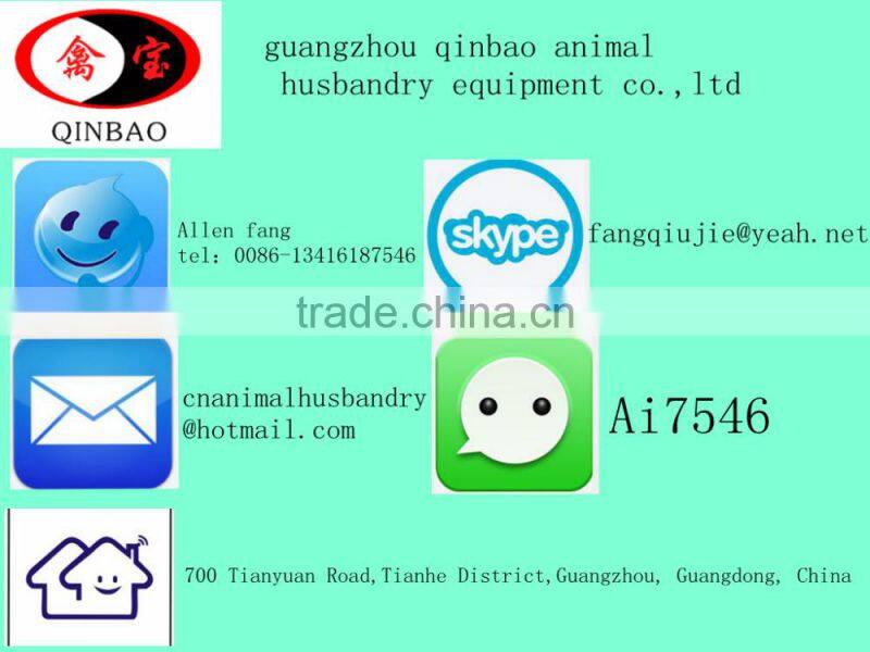 different size chicken feeder/ 2kg Plastic Automatic Small Chicken Feeder