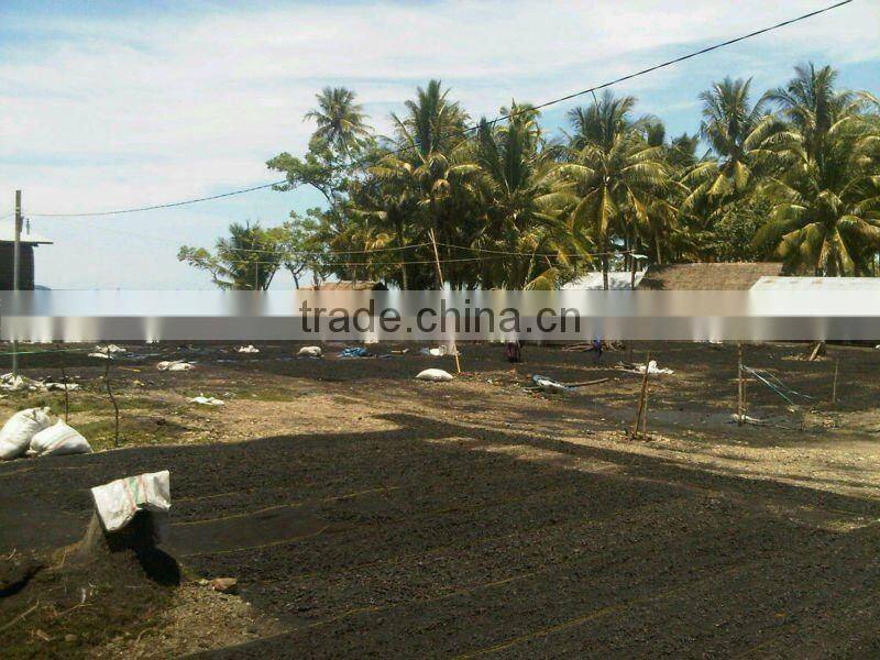 Coconut Shell Charcoal