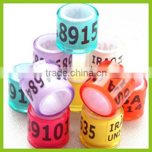 Foot Tags For Pigeon