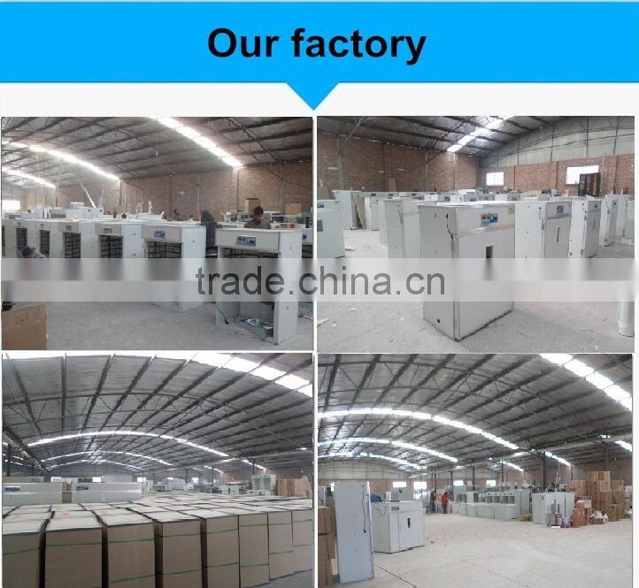 High hatching rate couveuse de poule with three years warranty