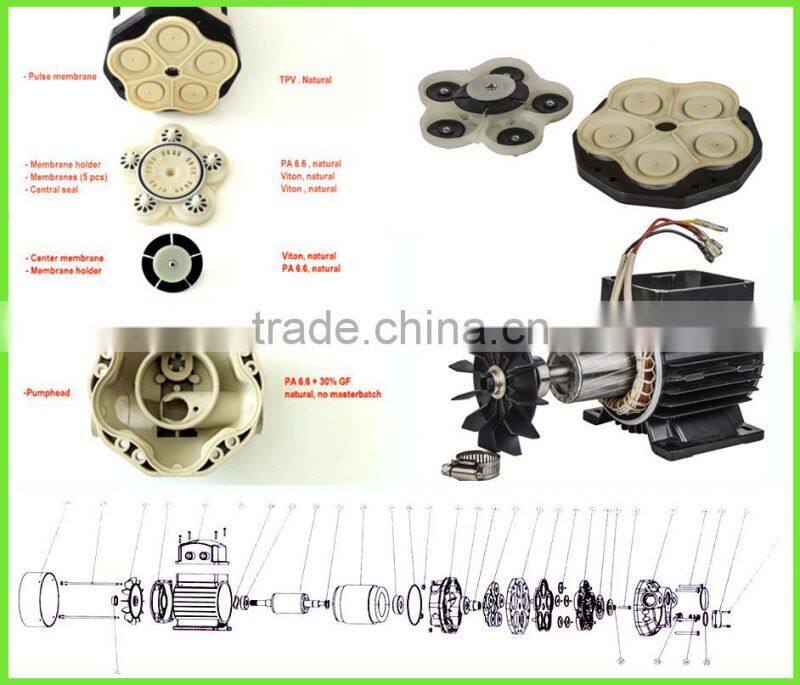 Singflo 30LPM 12v water pump high capacity/industrial water pump