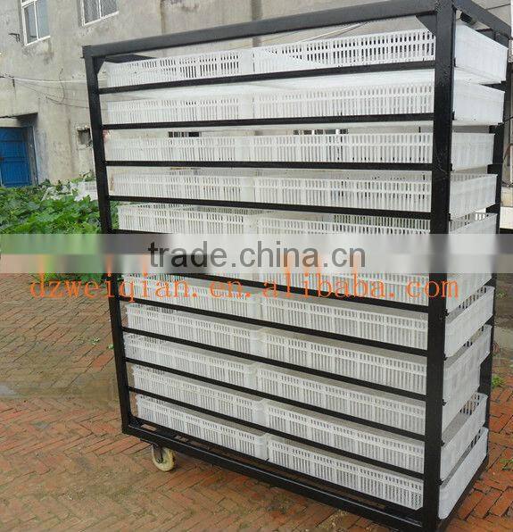 black chick incubator WQ-8448