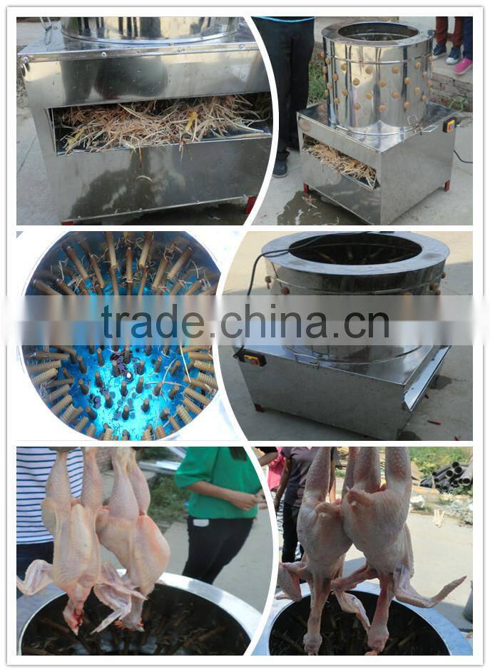 2015 new style CE approved wq-50 chicken plucker automatic