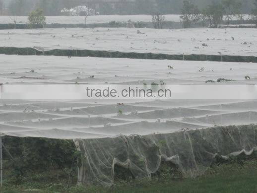 50gsm Transparent Anti Hail Nets protect plant from damage
