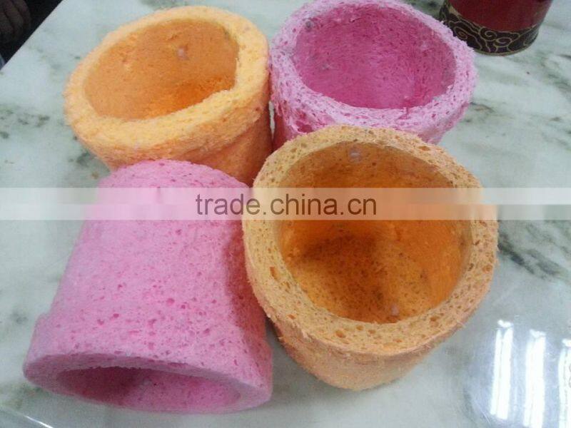 Biodegradable Sponge Cultivating pot