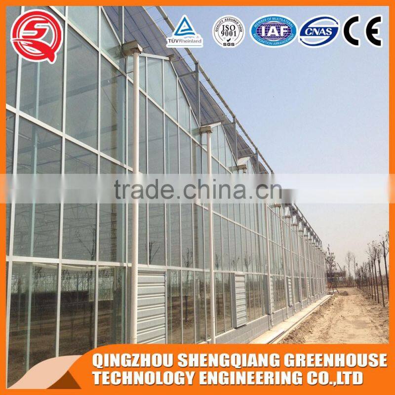 Multifunction Venlo poly tunnel greenhouse glass greenhouse for sale
