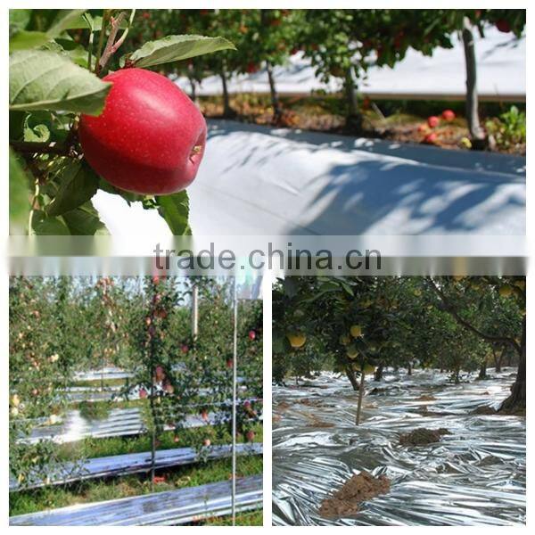 silver color reflective mcpp film for package