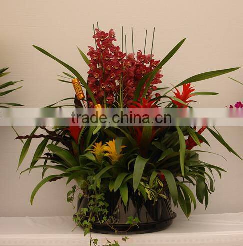 Wholesale Green Color Home Decor Table Flower Planter
