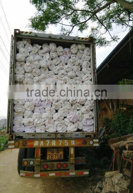 26~28mm tonkin bamboo poles/raw bamboo material/bamboo canes