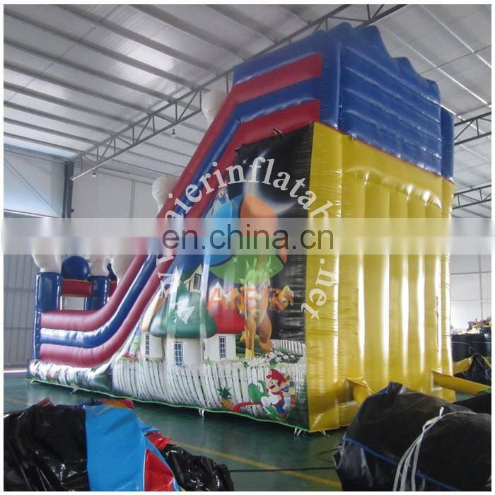 Digital printing Giant Inflatable Slide