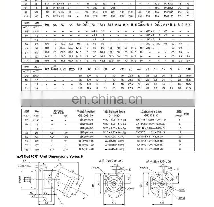 Oblique curved neck pump plunger pump/motor A2F55.80.160R2P1 Quantitative pump