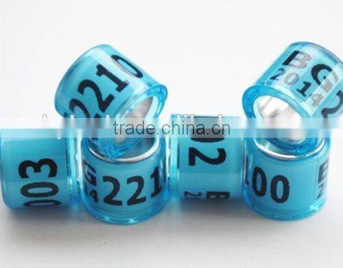 Address Ring for Pigeon