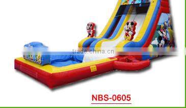New Point inflatable water slides for summer,fashionable garden play inflatable slide,inflatable water slidekids