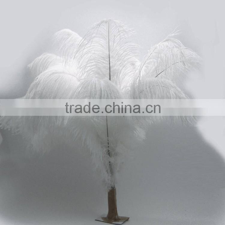 Real natural plumage wholesale cheap white ostrich feathers large feathers trim
