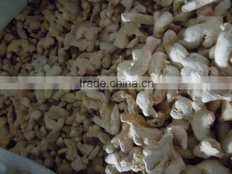hot sale best quality dry ginger