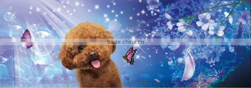 2012 promotional animation 3d bookmark