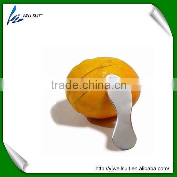 new design stainless steel fruit ice cream