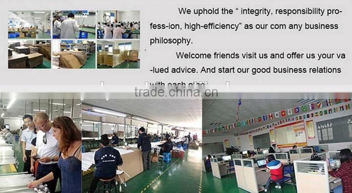 Black DC12V led floodlight 10W with CHILI45mil Chips, CE spotlight