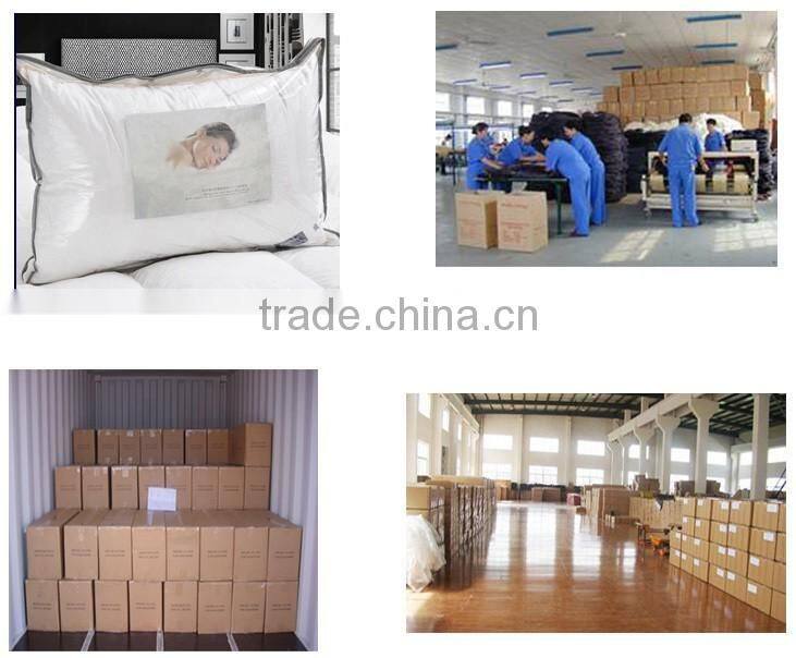 Microfiber Pillow Case/Pillow Shell with Silver Satin Piping