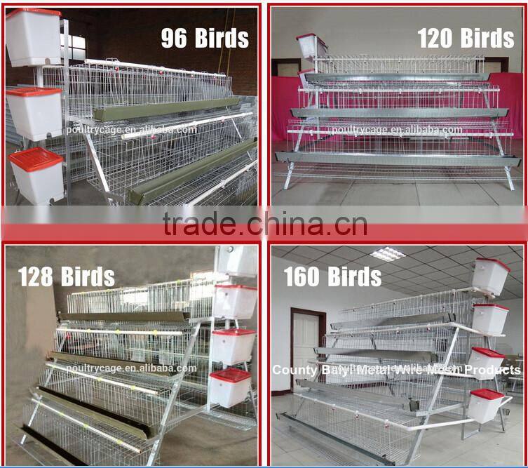 farm poultry equipment for sale