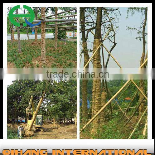 rice straw rope