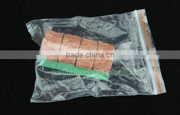 4 piece artery model