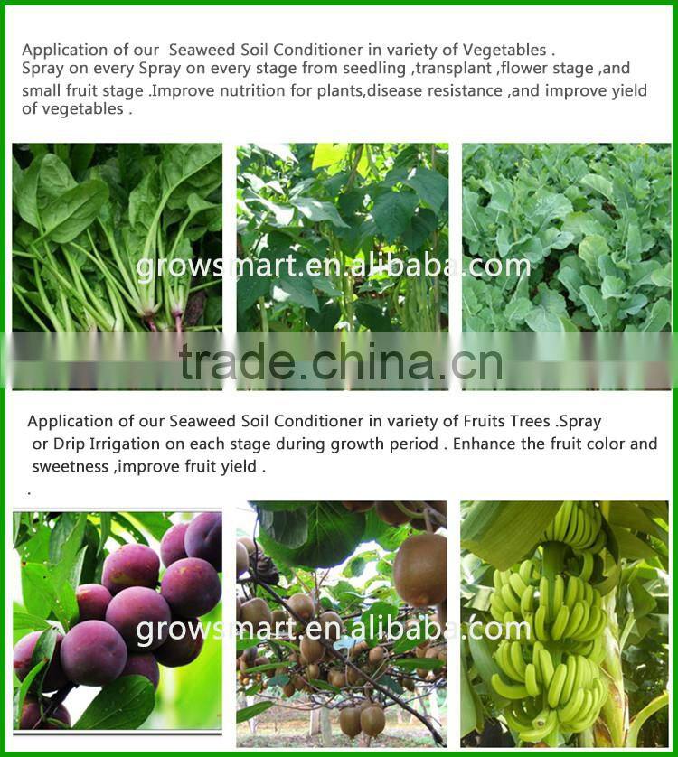 30%prue seaweed powder quality humic acid