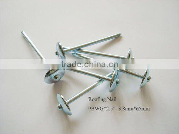 round head roofing nails with umbrella