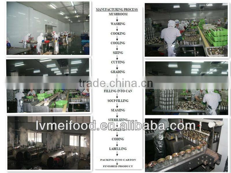 Canned Broad Beans in tomato sauce