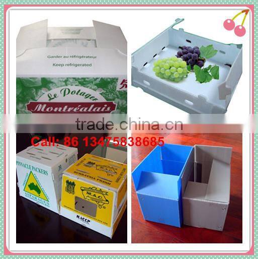 PP plastic okra coroplast package box
