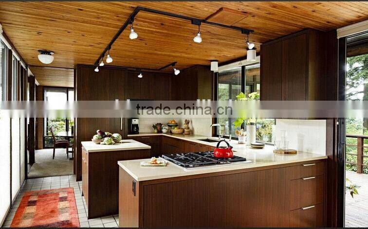 CE ROHS FCCC PAR38 Aliminum 100-277v led par light par38