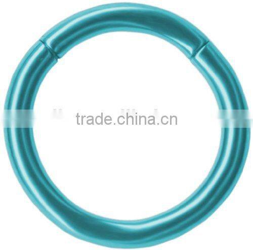 12 Gauge Purple Anodized Titanium Segment Ring