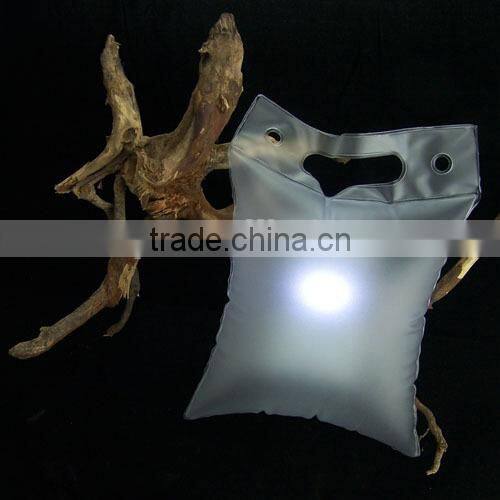 Inflatable Light Balloon