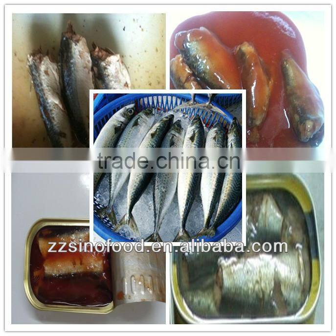 competitive price delicious fresh material sardines fish canned in tomato sauce