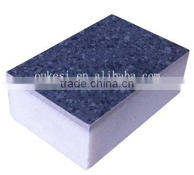 expandable polystyrene panel