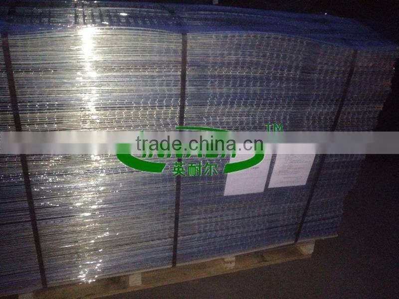 Qatar Poultry Farm Racing Pigeon Cage