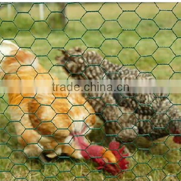 High quality anping hexagonal wire mesh/chicken wire mesh ( anping factory )