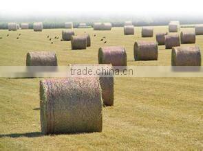 straw used HDPE hay bale net made in china