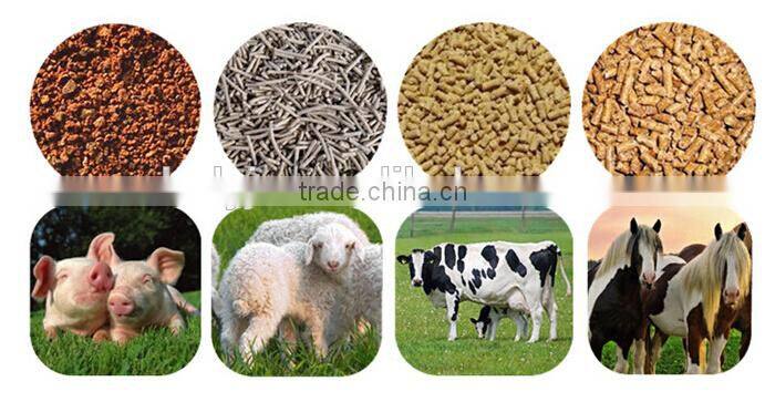 shrimp food manufacturing machine in Srilanka