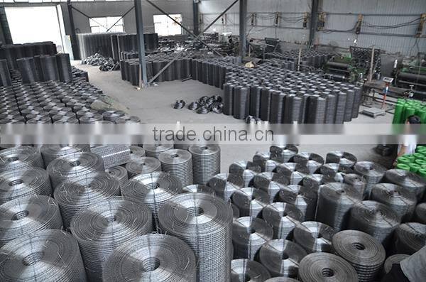 1''meshx14ga. PVC Welded Wire Mesh,Welded Mesh
