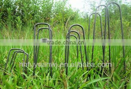 ground sod staple